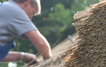 professional Jordans thatchers